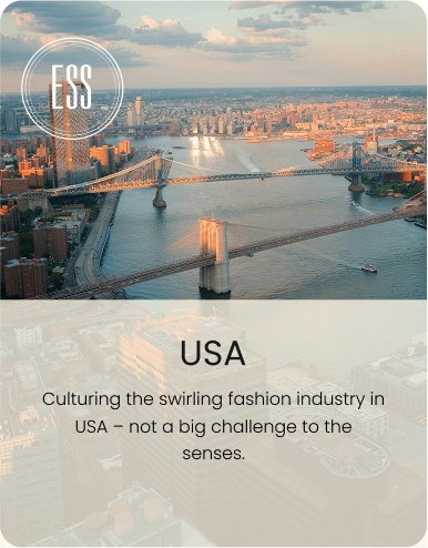 USA card